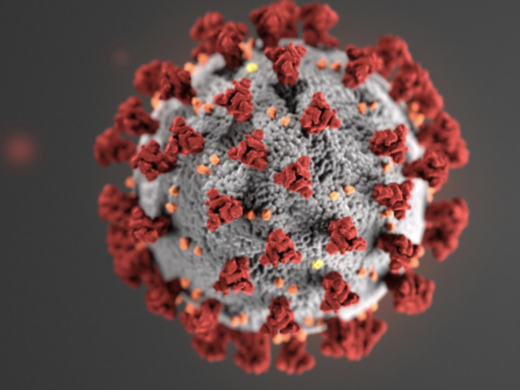 Coronavirus Fund